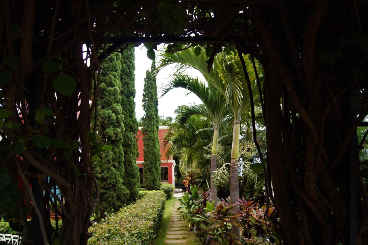 Los Altos Apartments & Studios Managua Buitenkant foto